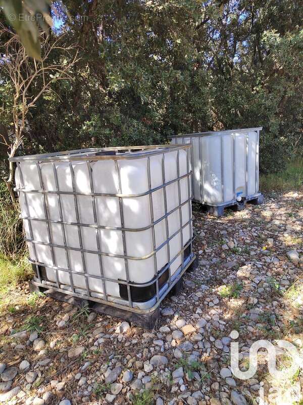 Photo 8 - Terrain à SERIGNAN-DU-COMTAT