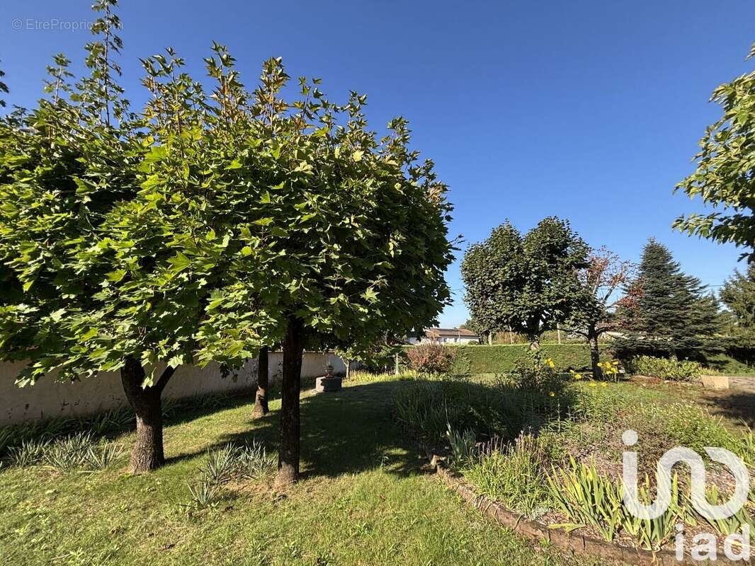 Photo 2 - Maison à FRANCHELEINS