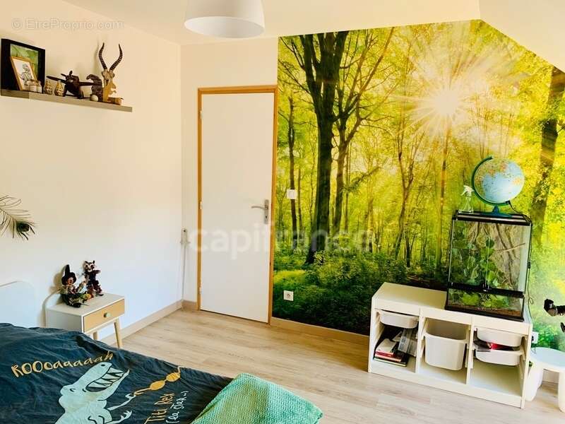 Maison à MAREUIL-SUR-AY