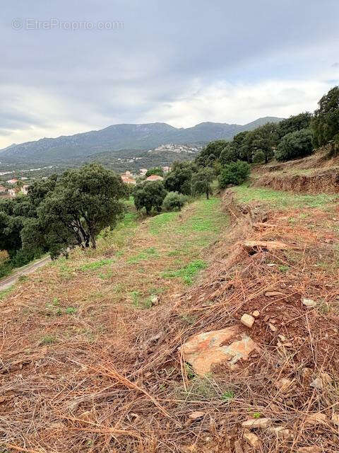 Terrain à BASTIA