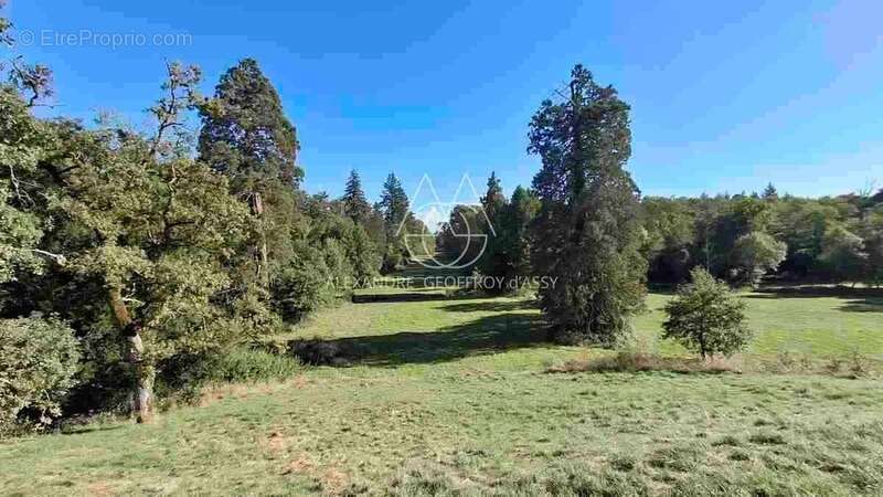 Exceptionnel château XV-XVI et XIXe avec son hameau et ses 108 hectares avec possibilité d’acheter 200ha attenants supplémentair - photo 10