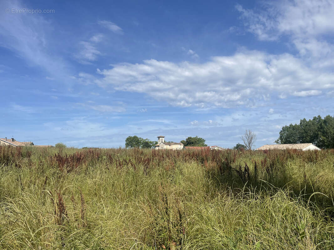 Terrain à CASTELJALOUX