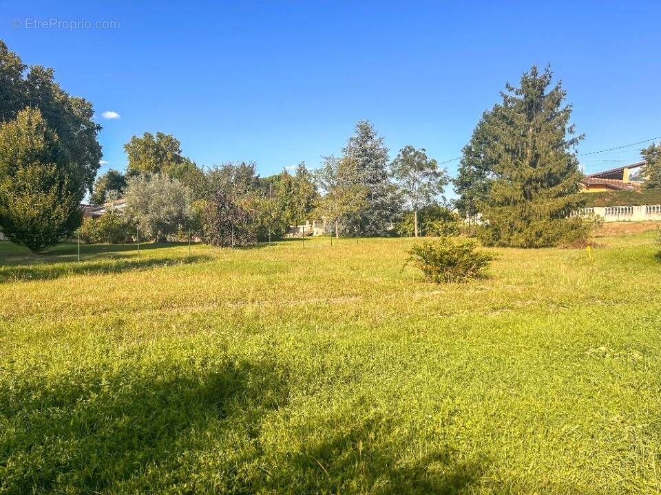 Terrain à MONTAIGUT-SUR-SAVE