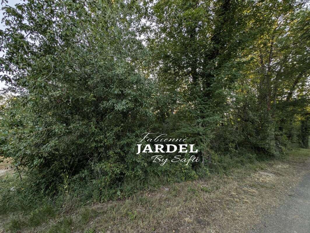 Photo 2 - Terrain à SAINT-MARTIAL-DE-NABIRAT