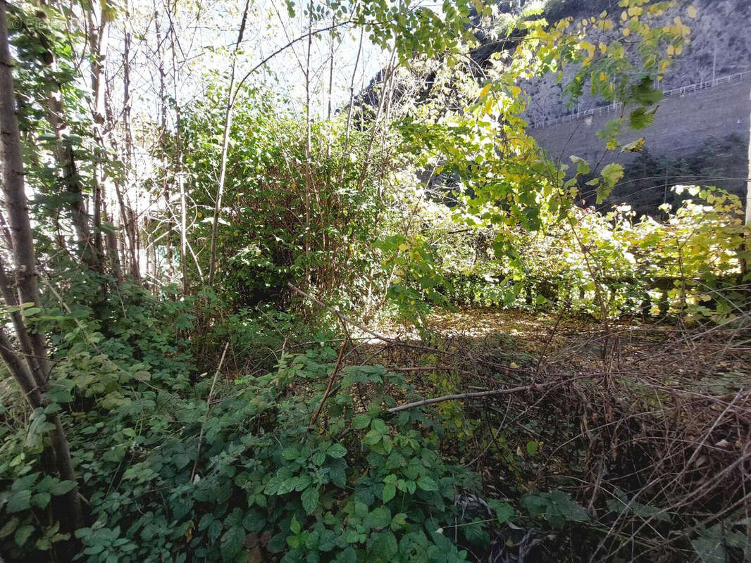 Appartement à FONTAN