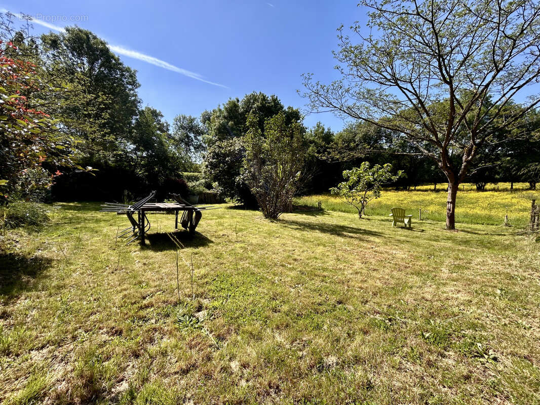 Maison à CHAMPTOCEAUX