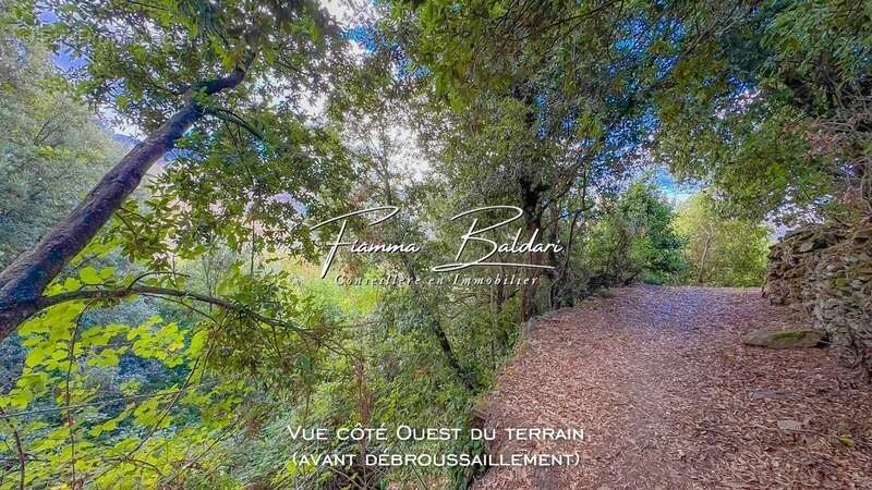 À vendre Terrain 750m², Canaja, Campile, Haute-Corse (20) - photo 2