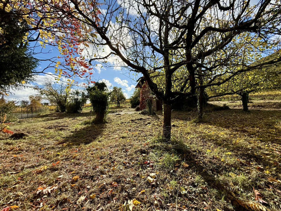 Terrain à CHATENOIS
