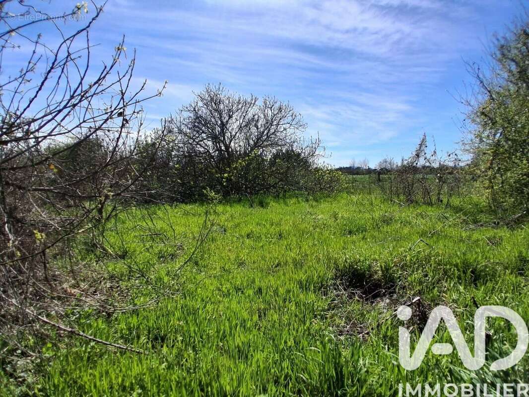 Photo 4 - Terrain à CANET-EN-ROUSSILLON