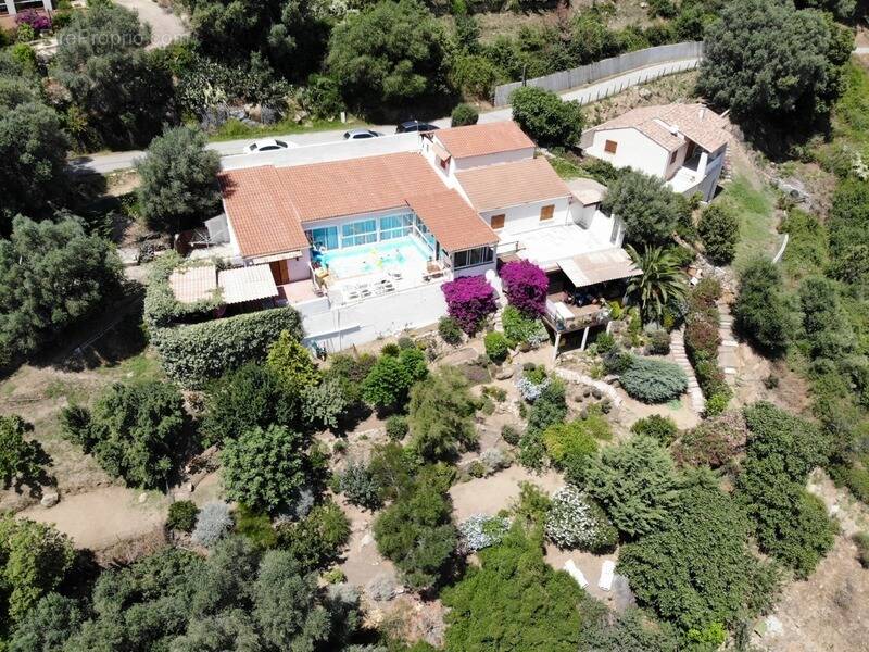 Maison à OLMETO