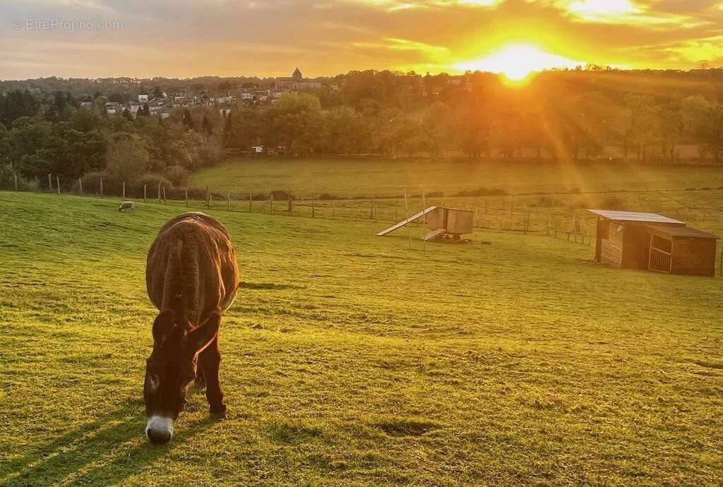 Maison à AVAILLES-LIMOUZINE