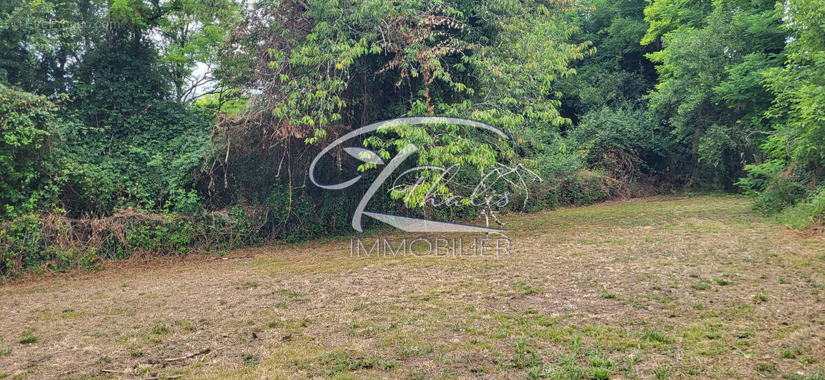 Terrain à SAINT-ANDRE-DE-CUBZAC