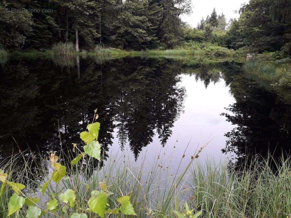 Terrain à FAUCOGNEY-ET-LA-MER