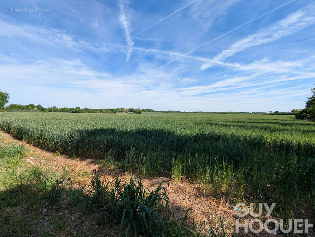 Terrain à CHAUVIGNY