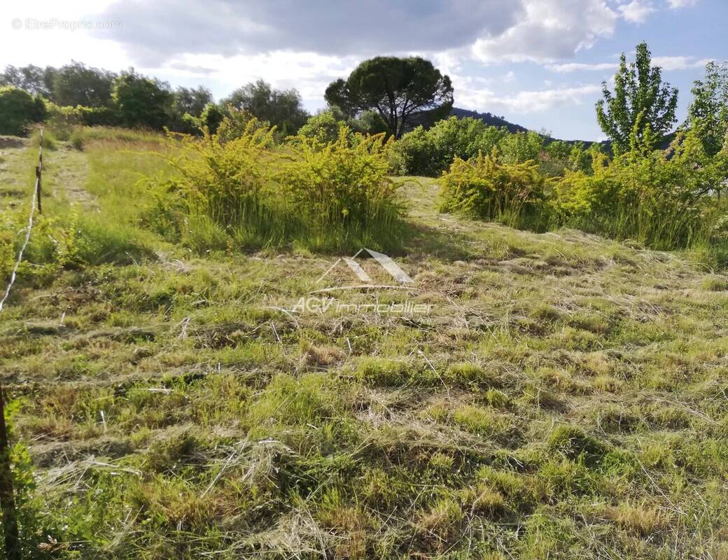 Terrain à LES MAGES