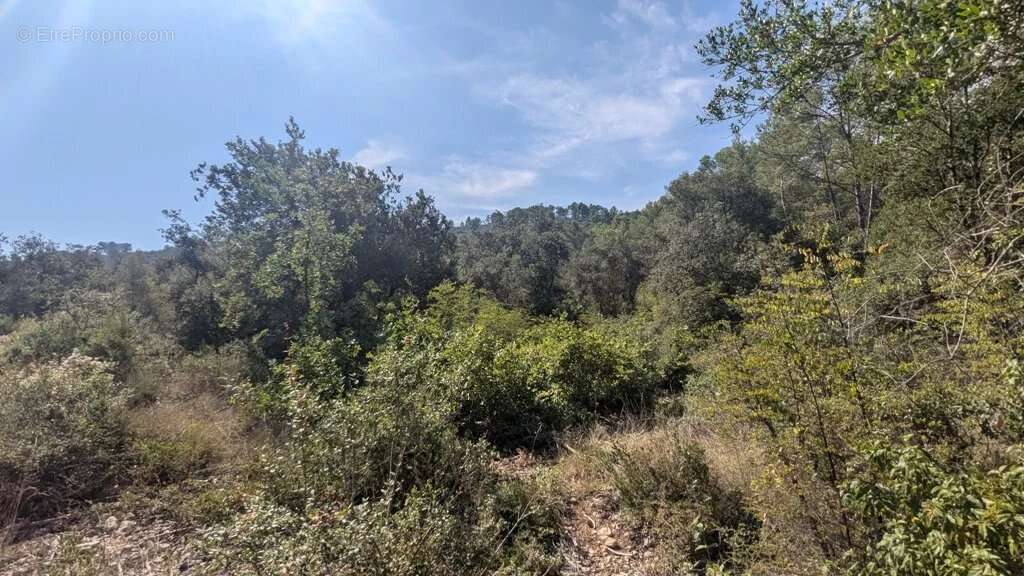 CARCES - Terrain 22.234m² en zone Naturelle - photo 13