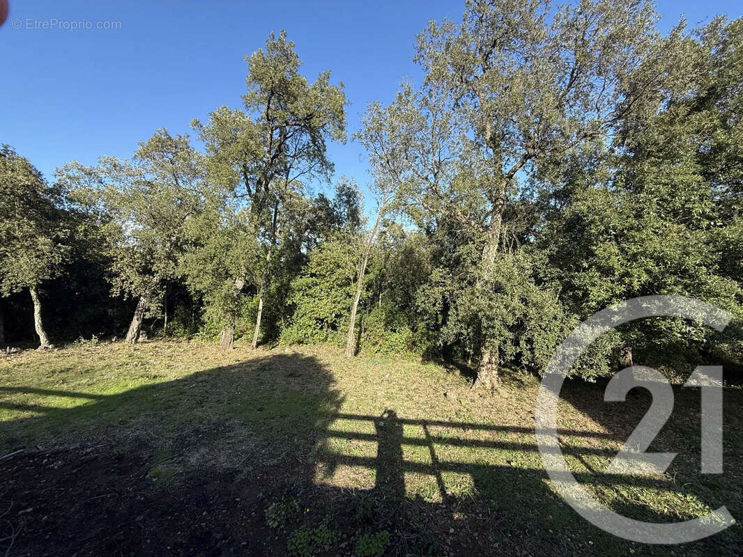 Maison à SANTA-MARIA-POGGIO