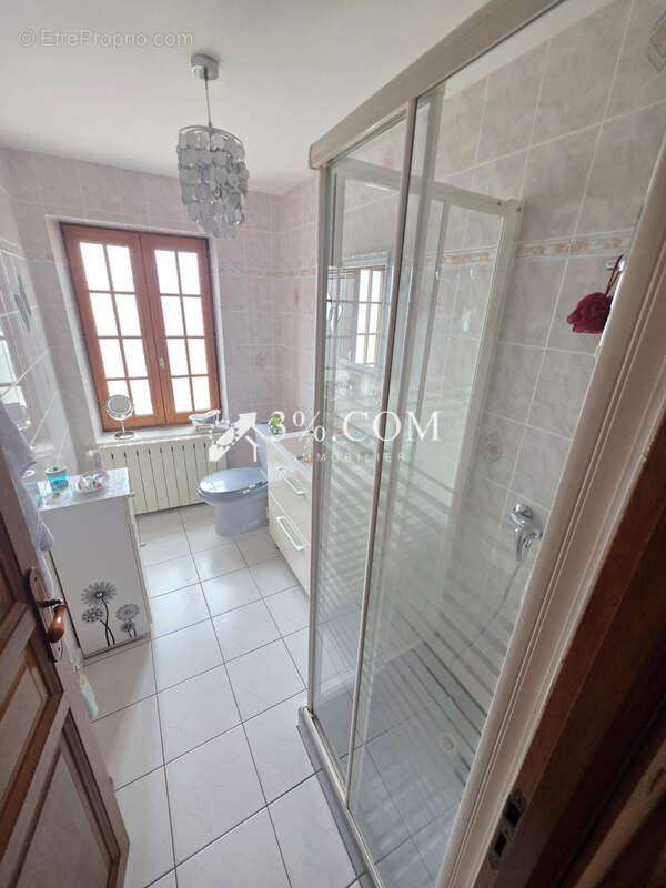 Spacieuse Maison Familiale de 340 m2 à Damelevieres (54360) - photo 28