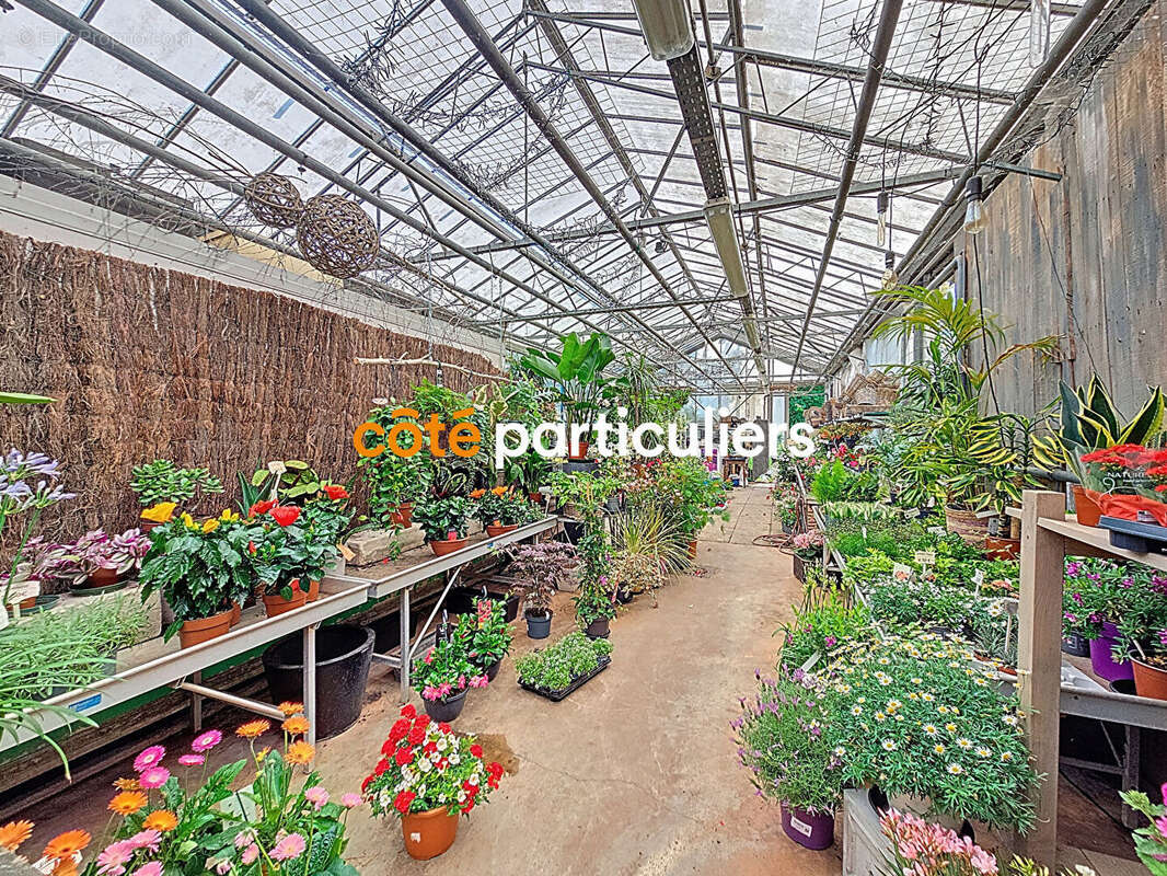 Commerce à LA CHAPELLE-D&#039;ARMENTIERES