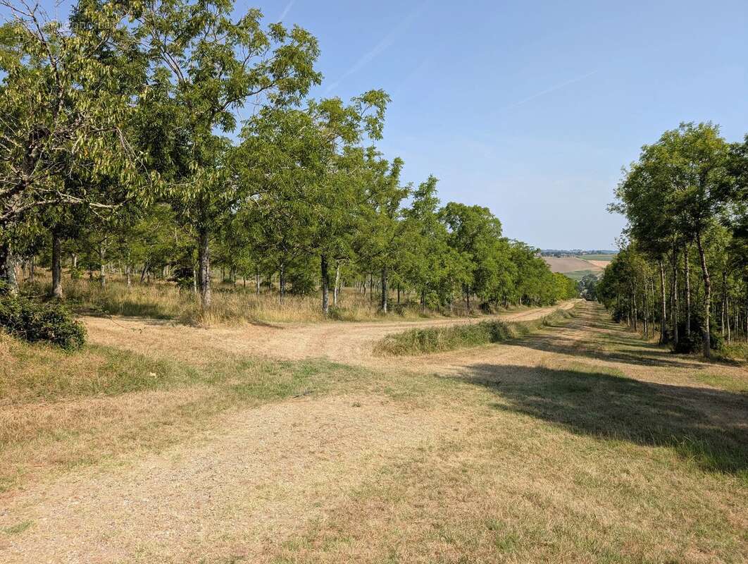 Beau Manoir avec près de 50 hectares de terrain proche de toutes les commodités - photo 21