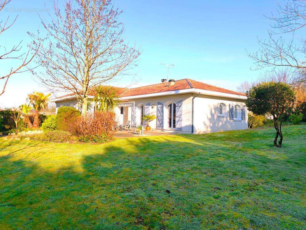 Villa Riviere Saas Et Gourby 7 pièce(s) 193 m2 - photo 3