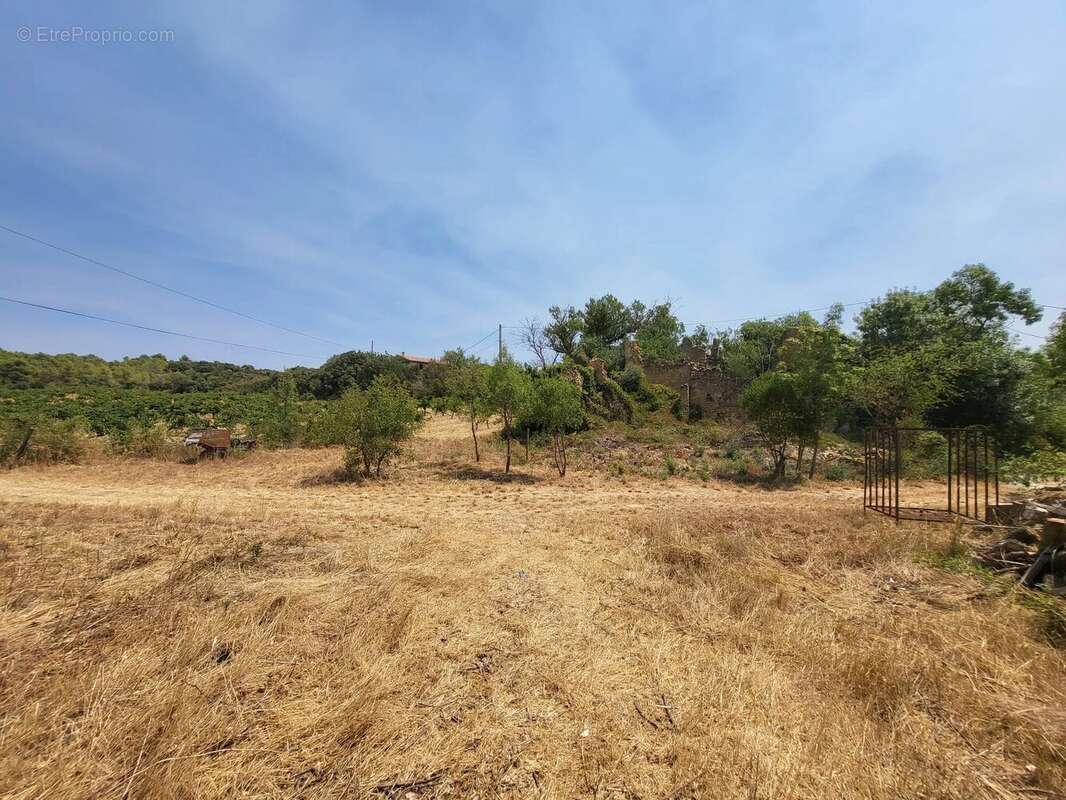 Terrain constructible de 1 071 m² – Vue exceptionnelle – - photo 5
