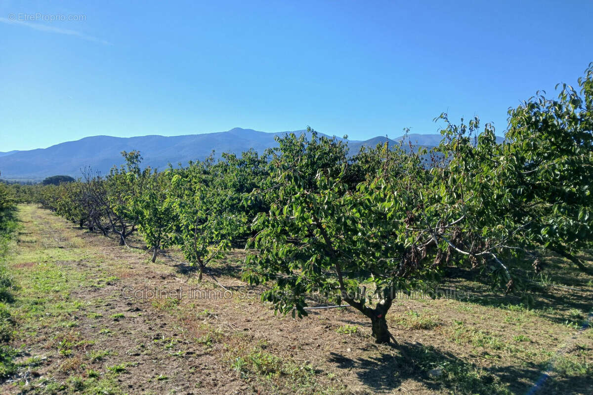 Terrain à CERET
