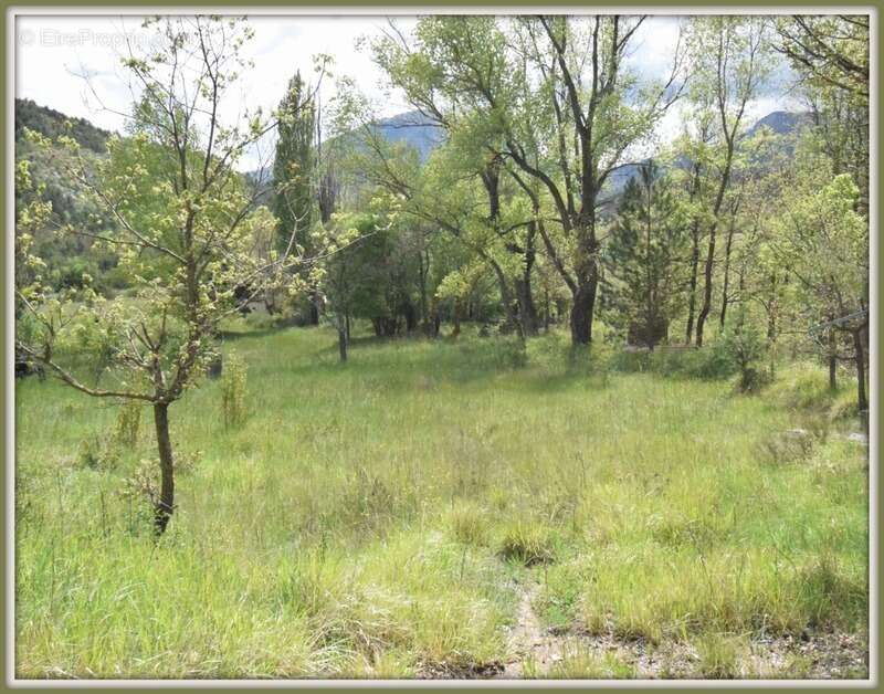Maison à CASTELLANE