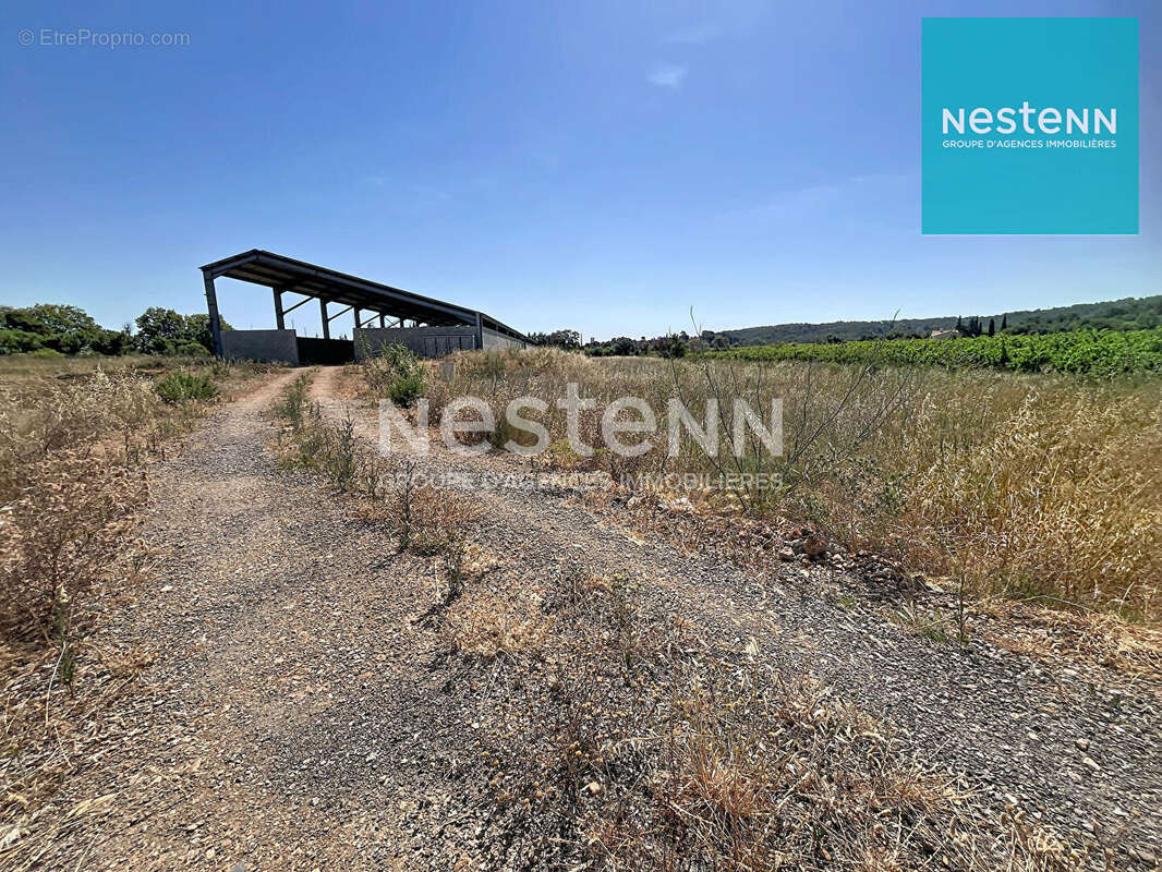 Commerce à SIGEAN