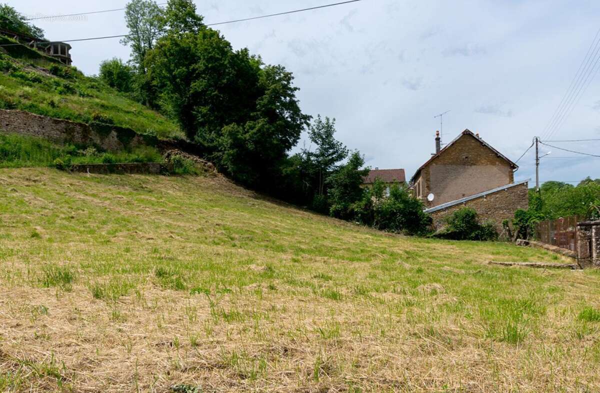 Terrain à ROUGEMONT