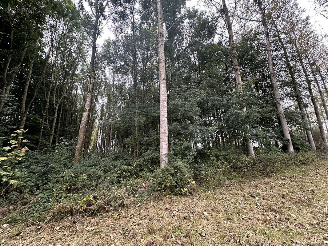 Terrain à LE FAVRIL