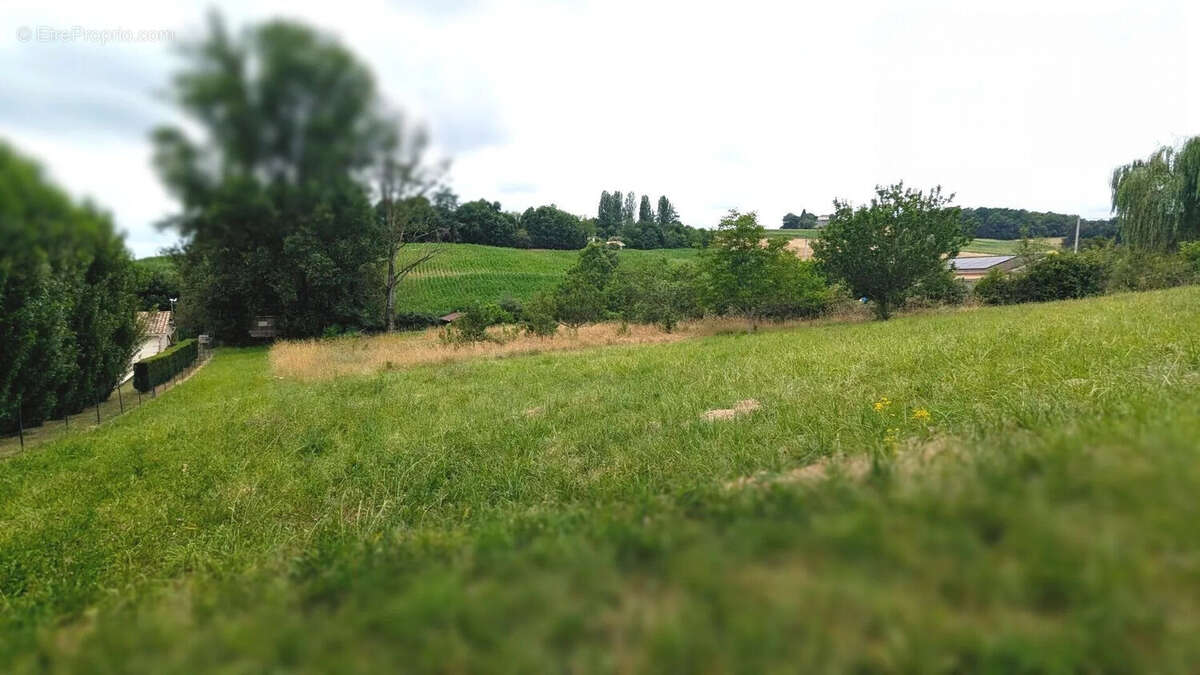 Un paysage verdoyant avec des arbres et des champs sous un ciel nuageux. - Terrain à LA SAUVETAT-DE-SAVERES