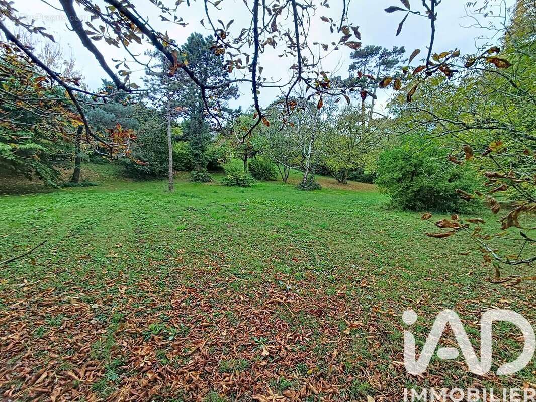 Terrain 4900 m² à Varennes  - photo 6
