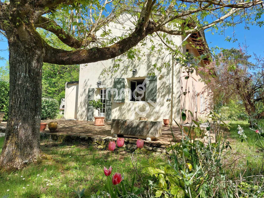 Maison à PUYCELCI