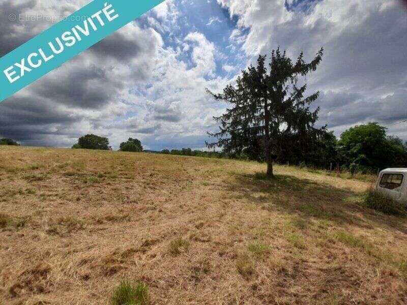 Terrain 2917 m² à Navarrenx  - photo 5