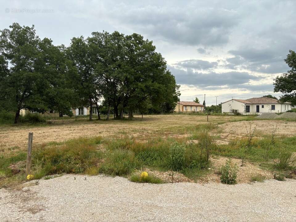 Terrain 1050 m² à Fronton  - photo 2