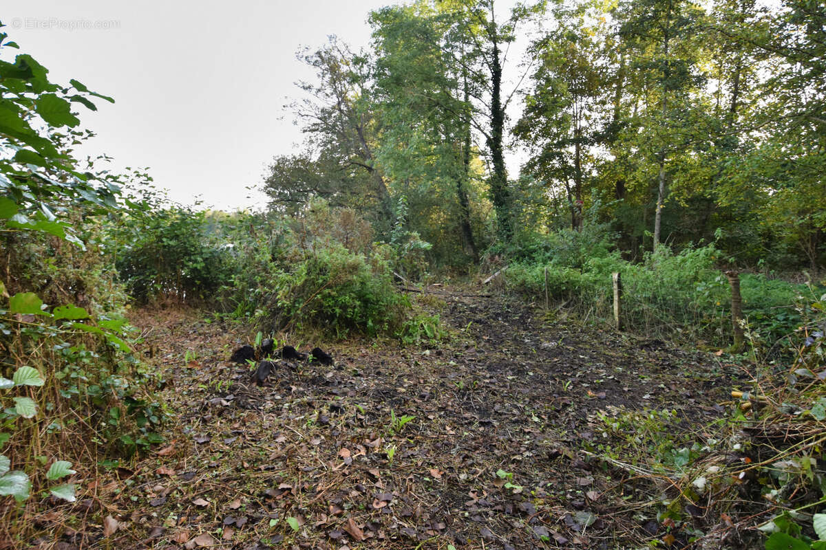 Terrain à FONTAINE-SUR-SOMME