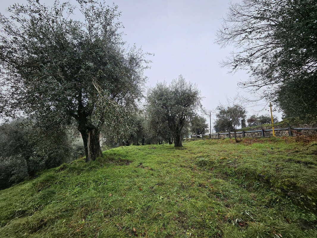 Terrain à BERRE-LES-ALPES