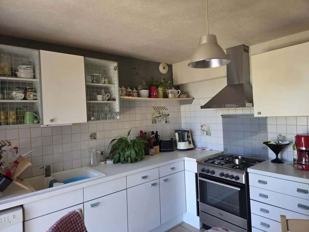 Maison avec grand jardin - photo 7
