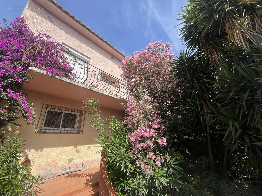 Maison à CANET-EN-ROUSSILLON