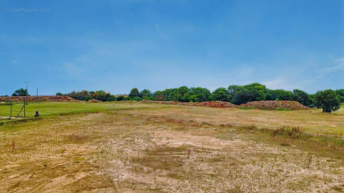Photo 1 - Terrain à SAVENES