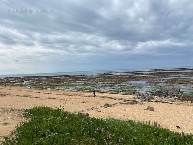 Terrain à SAINT-PIERRE-D&#039;OLERON