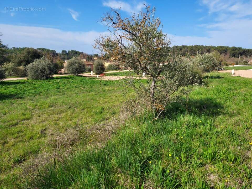 Terrain 691 m² à Barjols  - photo 3