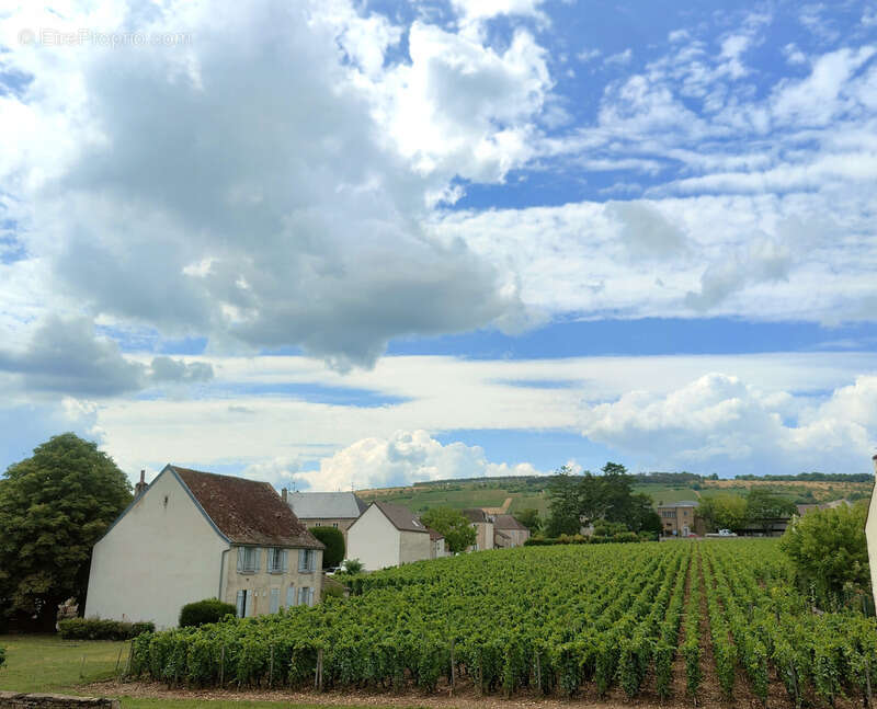 Maison à VOSNE-ROMANEE