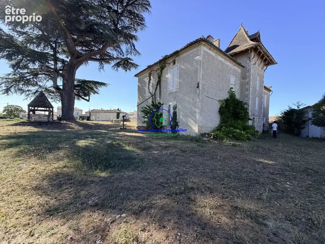 Maison 19 pièces 505 m² à vendre à Laroque-Timbaut (47340) - photo 3