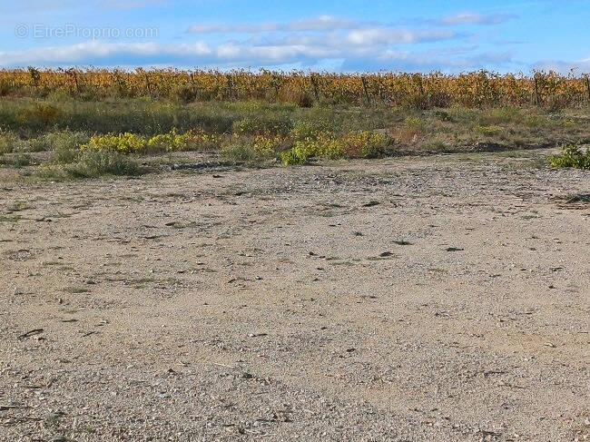Terrain à POLLESTRES