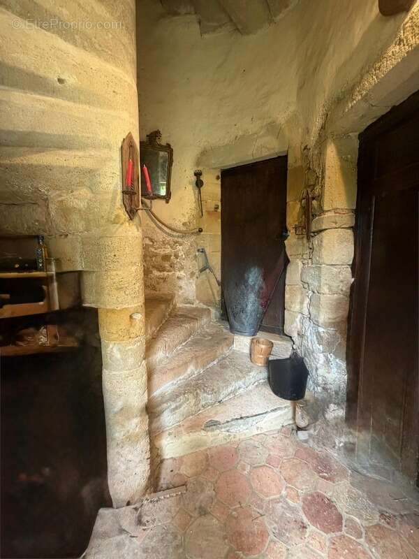 MARCIAC(32): ancienne SEIGNEURIE avec BEAU CHATEAU XIV sur 3,5ha, cachée, au bout du chemin, sans voisin, en campagne, 500m2 hab - photo 23