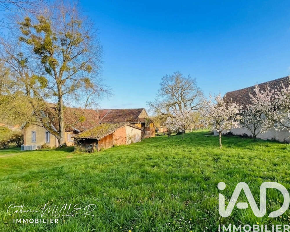 Photo 2 - Maison à ETUEFFONT