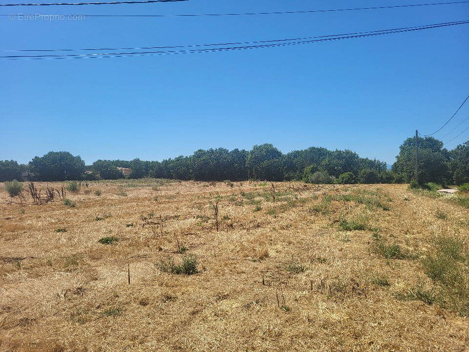 Terrain à BLAUZAC