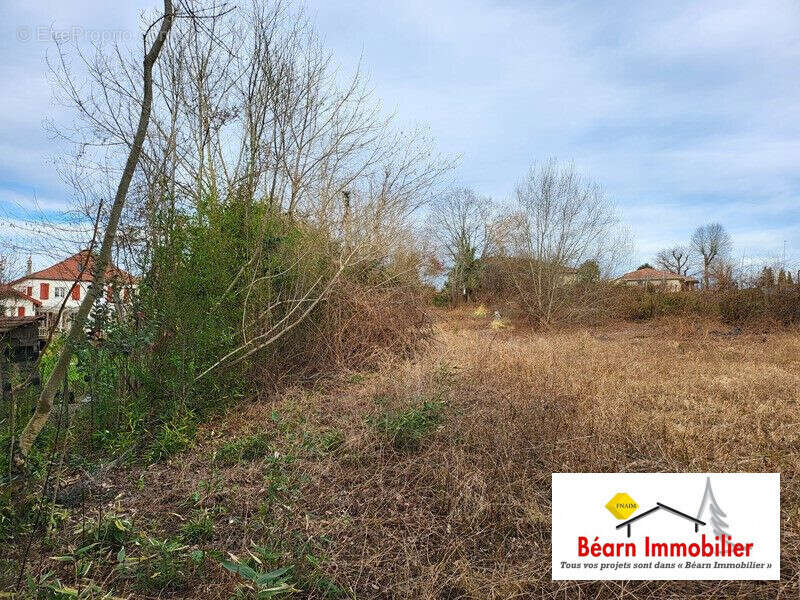 Terrain à SALIES-DE-BEARN